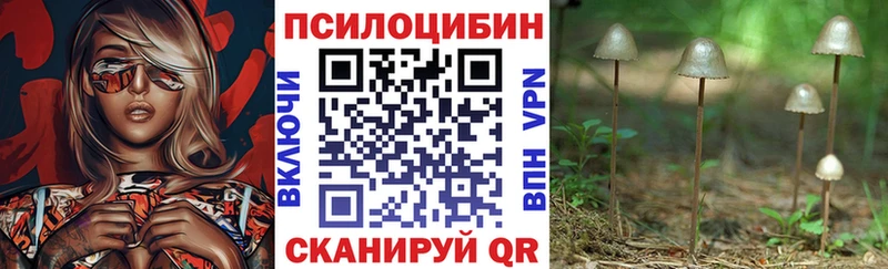 Галлюциногенные грибы мицелий  hydra ссылка  Лермонтов 